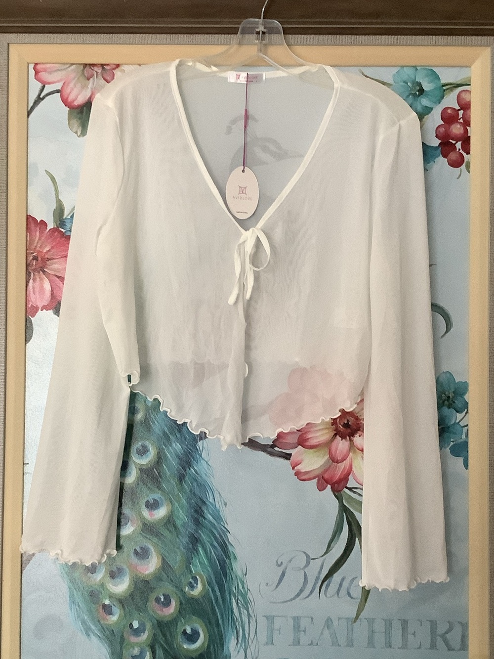 Alcove Ivory Sheer Tie-Front Cropped Blouse
